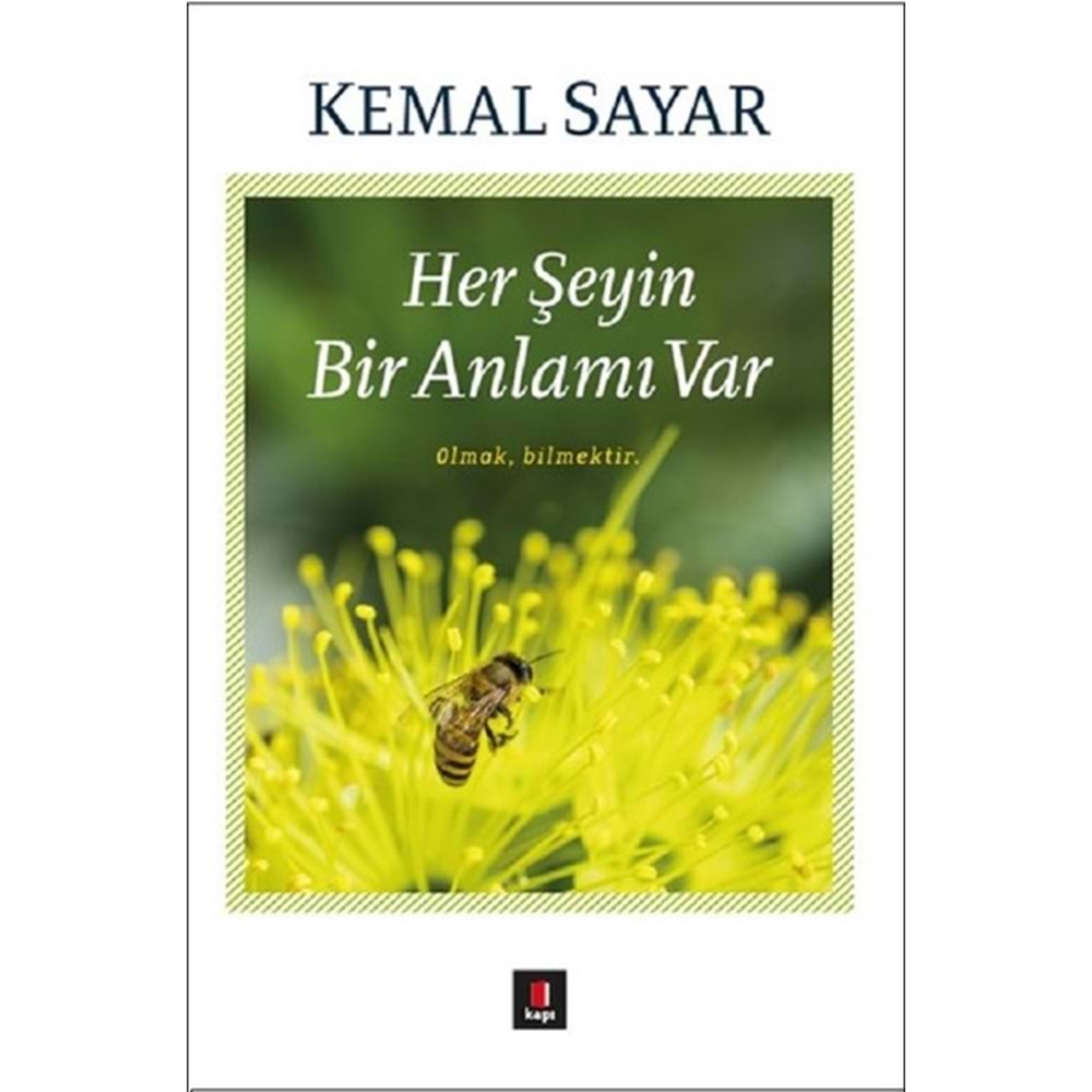 HER ŞEYİN BİR ANLAMI VAR- KEMAL SAYAR- KAPI YAYINLARI