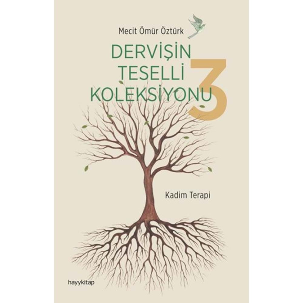 DERVİŞİN TESELLİ KOLEKSİYONU 3-MECİT ÖMÜR ÖZTÜRK-HAYYKİTAP