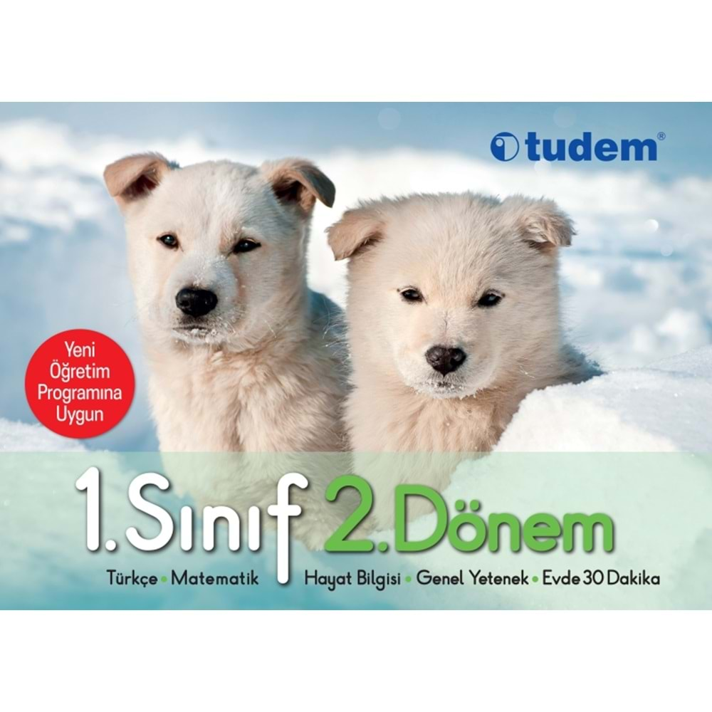 TUDEM 1.SINIF OKUMA YAZMA SETİ - 2.DÖNEM