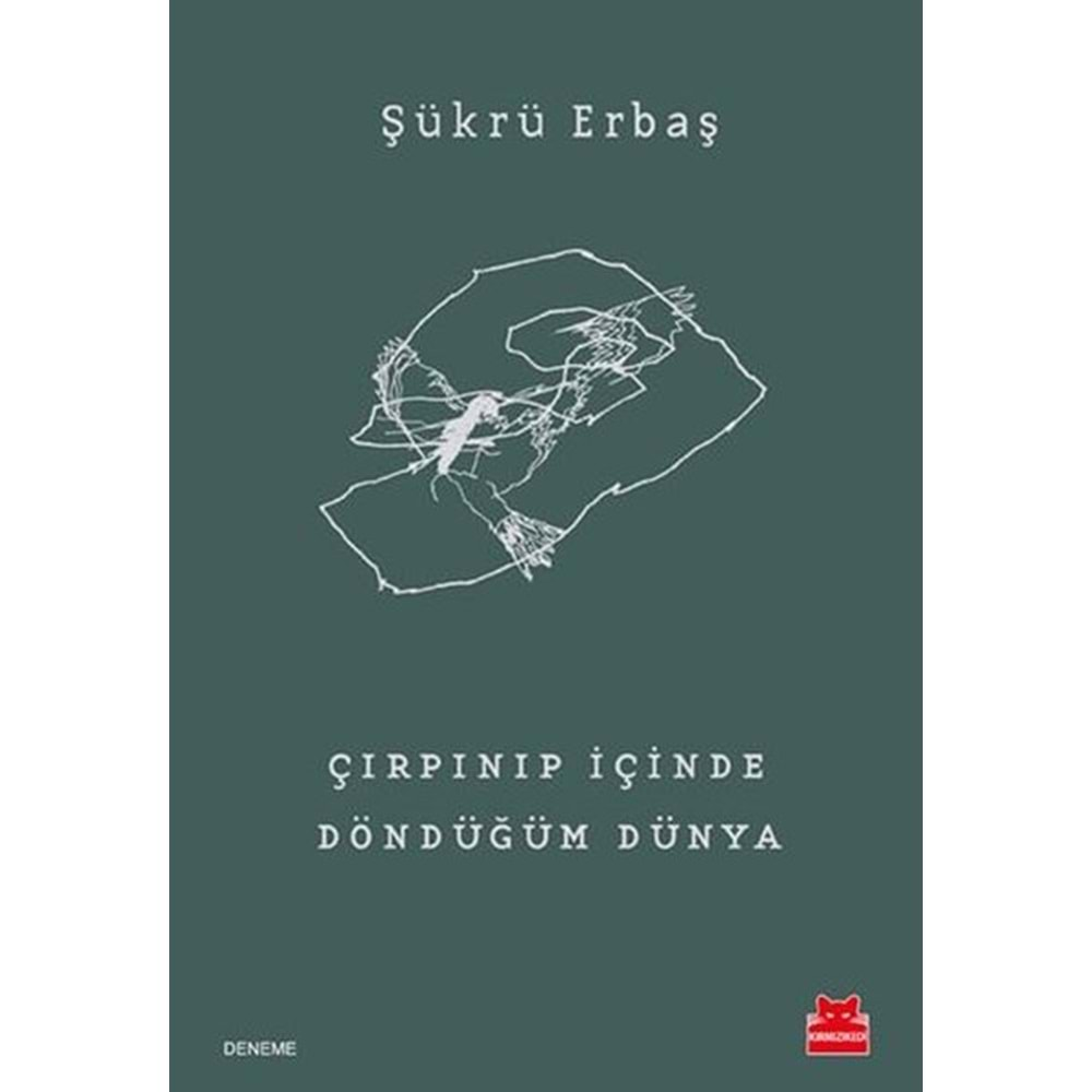 ÇIRPINIP İÇİNDE DÖNDÜĞÜM DÜNYA-ŞÜKRÜ ERBAŞ-KIRMIZI KEDİ