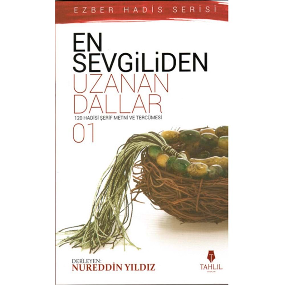 EN SEVGİLİDEN UZANAN DALLAR 1- NUREDDİN YILDIZ- TAHLİL