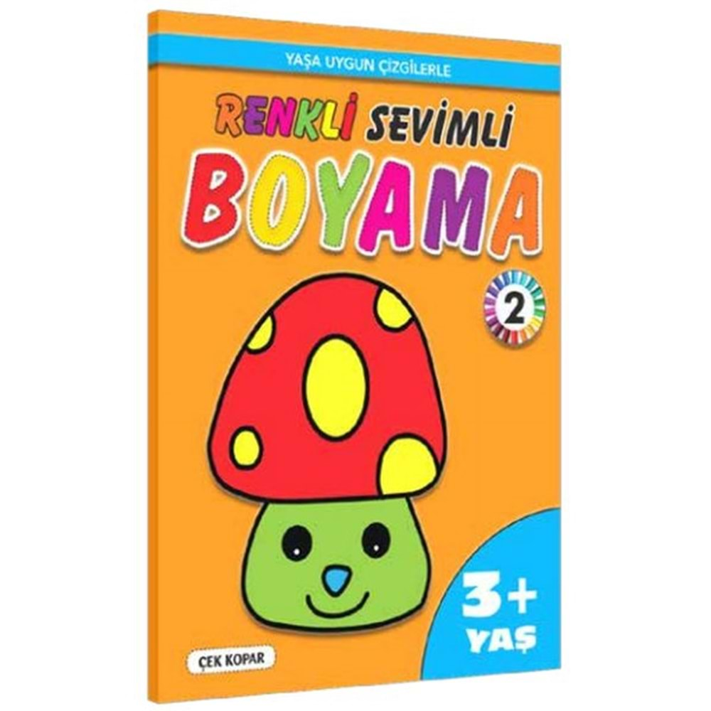 RENKLİ SEVİMLİ BOYAMA-2 3+YAŞ-MURAT SEVİNÇ-PİNOKYO YAYINLARI