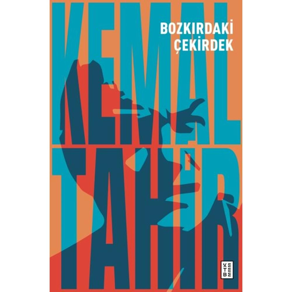 BOZKIRDAKİ ÇEKİRDEK-KEMAL TAHİR-KETEBE YAYINLARI