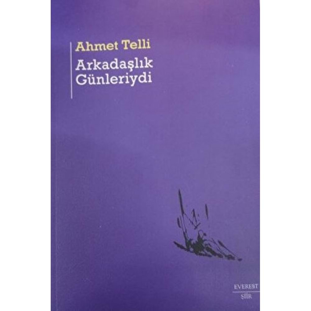 ARKADAŞLIK GÜNLERİYDİ-AHMET TELLİ-EVEREST YAYINLARI