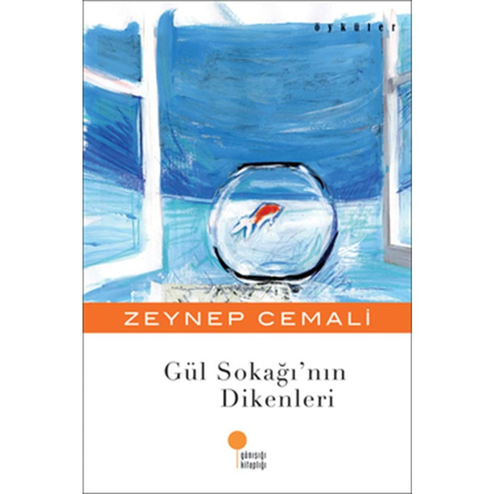 GÜL SOKAĞI NIN DİKENLERİ-ZEYNEP CEMALİ-GÜNIŞIĞI KİTAPLIĞI