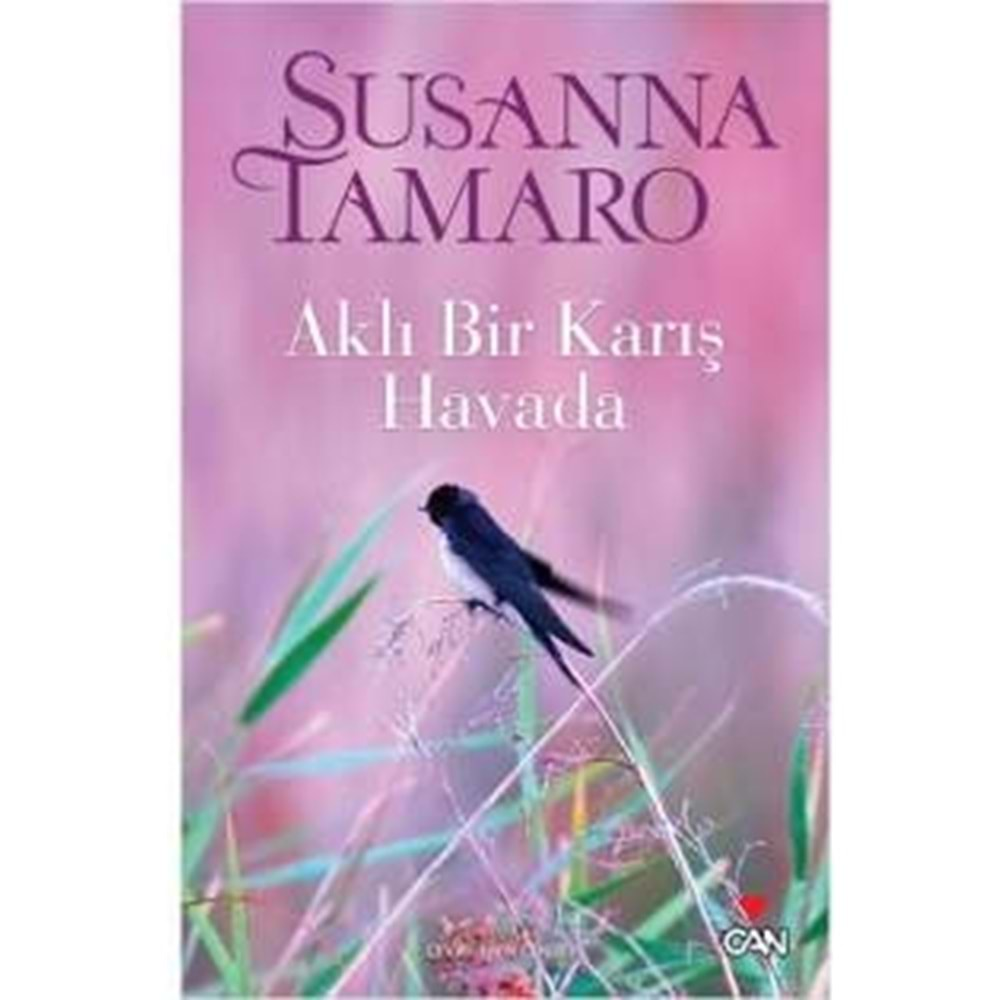 AKLI BİR KARIŞ HAVADA-SUSANNA TAMARO-CAN