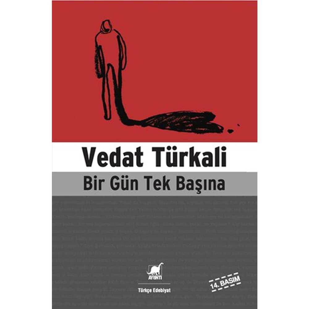 BİR GÜN TEK BAŞINA- VEDAT TÜRKALİ-AYRINTI