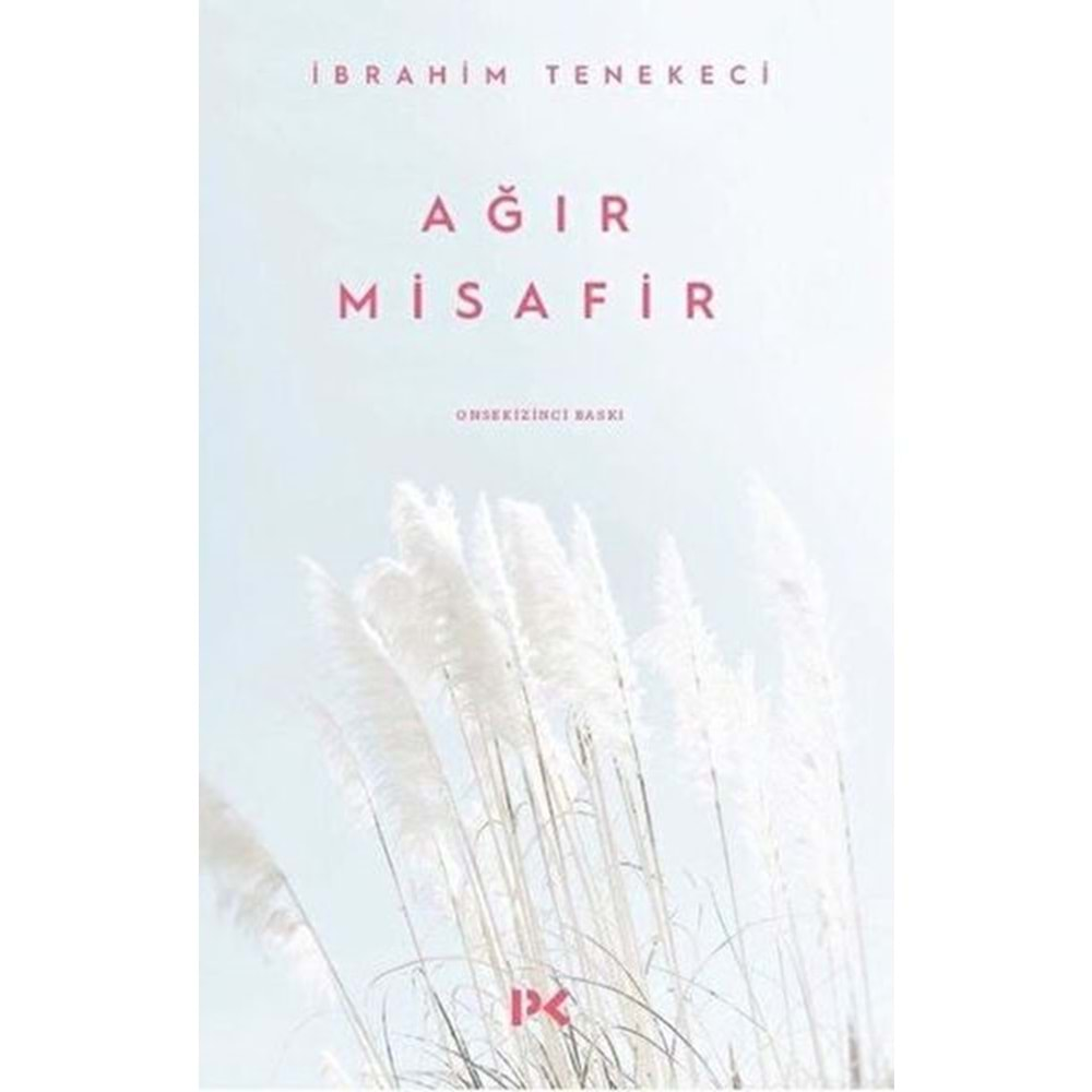 AĞIR MİSAFİR- İBRAHİM TENEKECİ- PROFİL