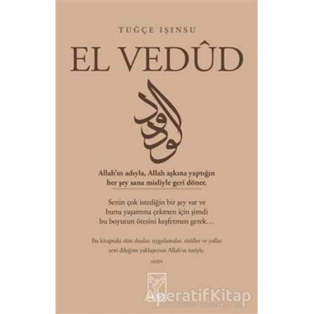 EL VEDUD-TUĞÇE IŞINSU-FENİKS