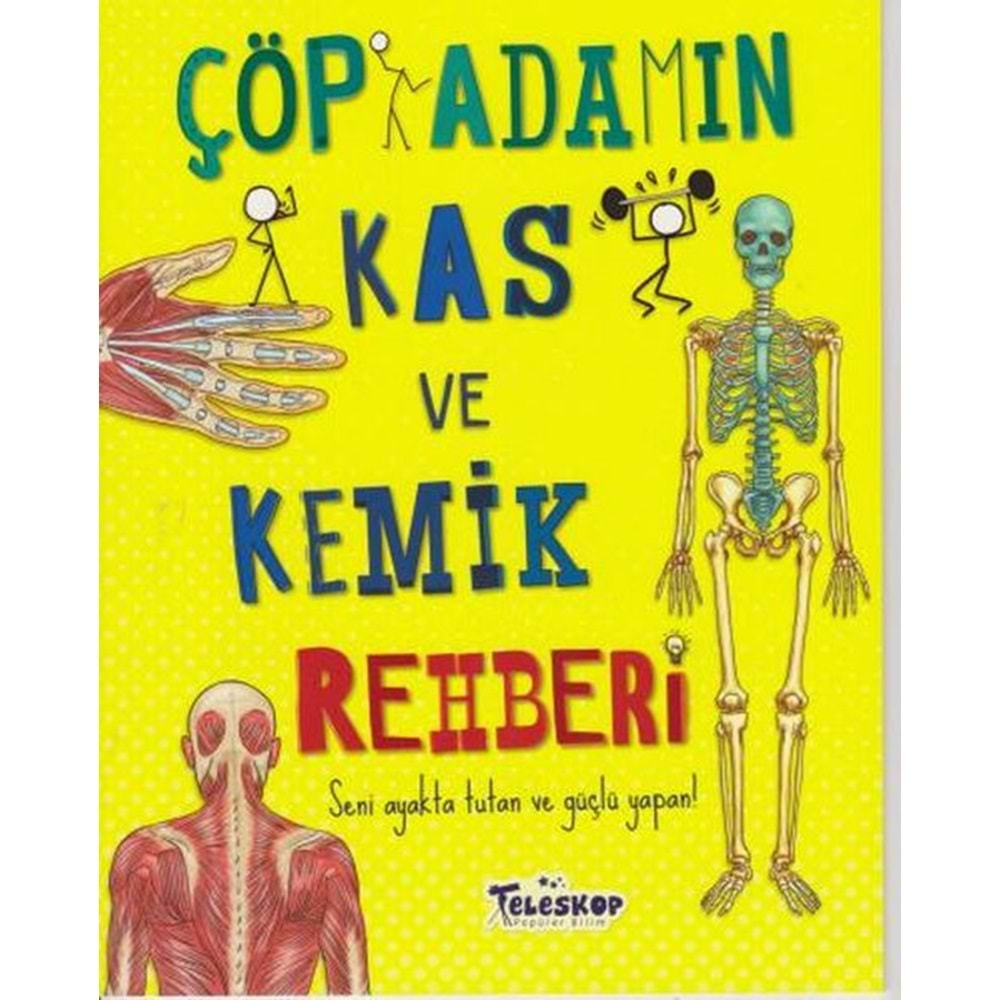 ÇÖP ADAMIN KAS VE KEMİK REHBERİ-TELESKOP