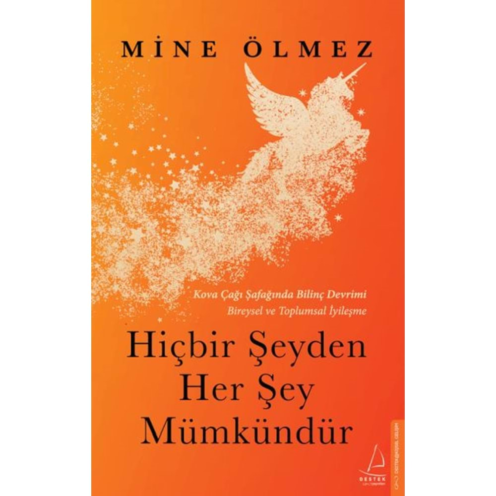 HİÇBİR ŞEYDEN HER ŞEY MÜMKÜNDÜR-MİNE ÖLMEZ-DESTEK YAYINLARI