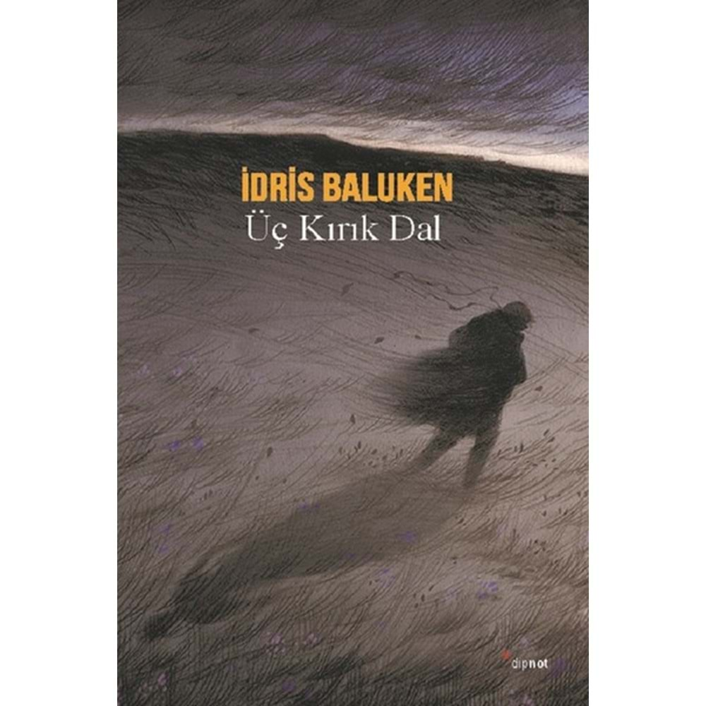 ÜÇ KIRIK DAL-İDRİS BALUKEN-DİPNOT