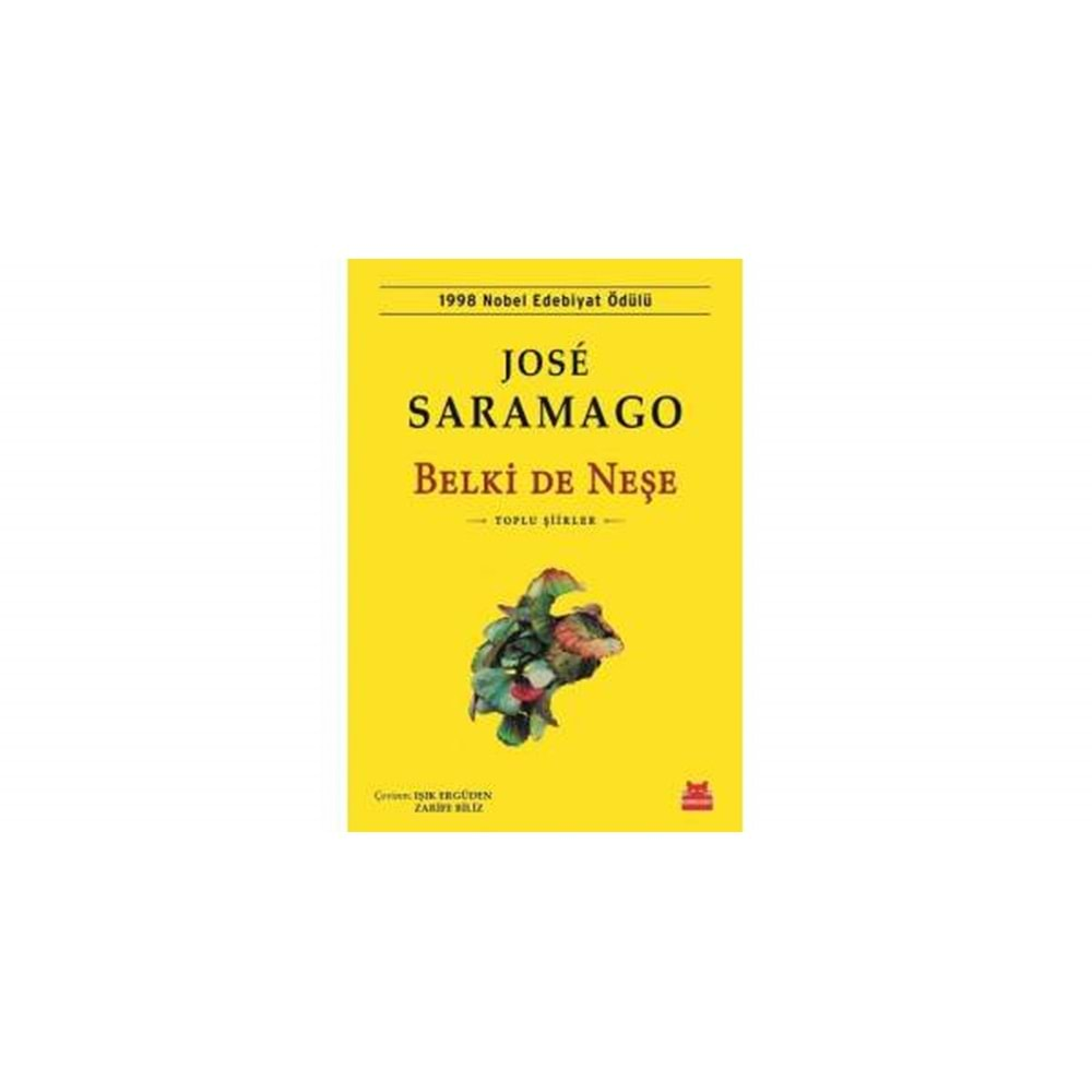 BELKİ DE NEŞE-JOSE SARAMAGO-KIRMIZI KEDİ