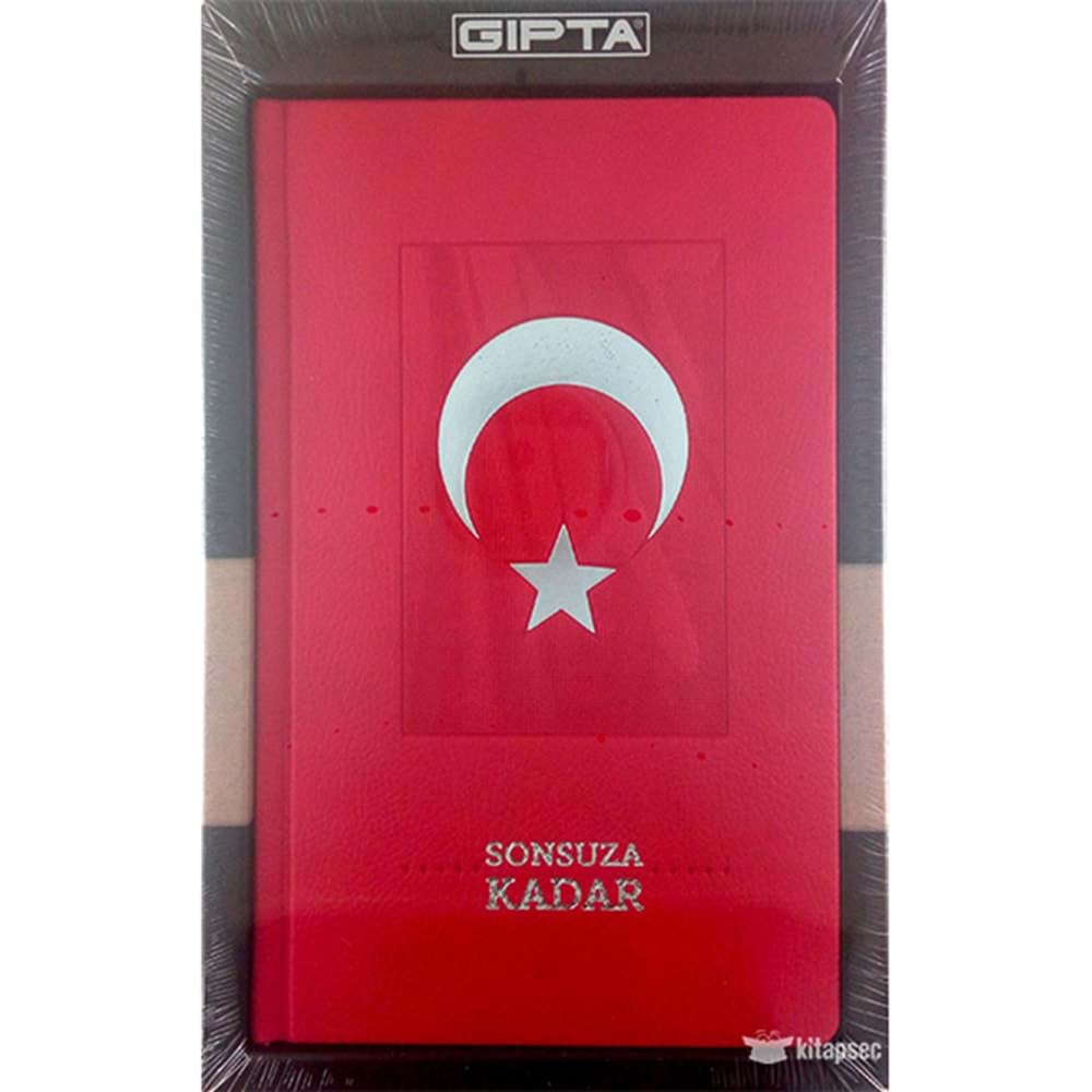 GIPTA DEFTER SONSUZA KADAR SERT KAPAK ÇİZGİLİ 120 YP 13*21-6501-3-6501000-2011