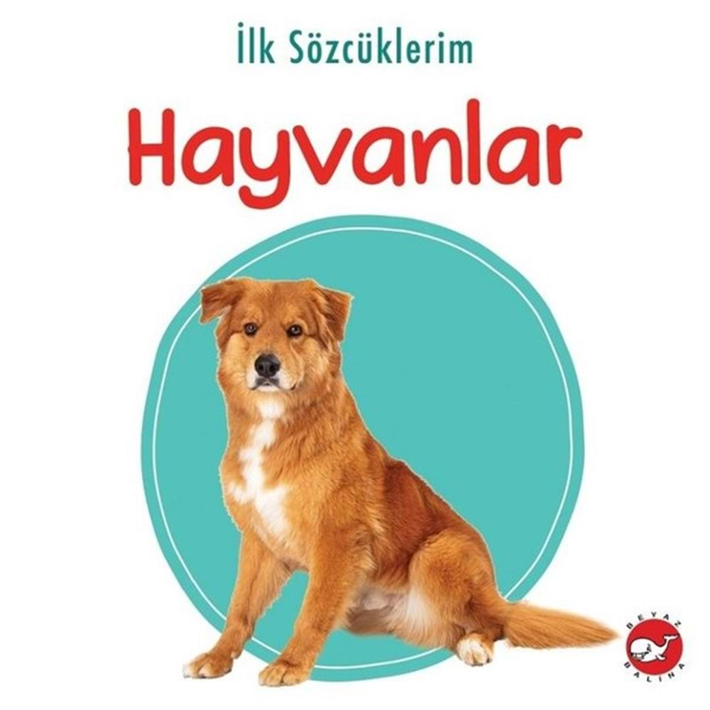 İLK SÖZCÜKLERİM HAYVANLAR-BEYAZ BALİNA YAYINLARI