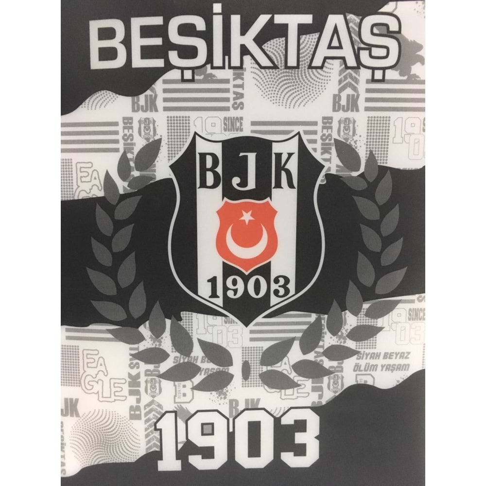 TİMON BEŞİKTAŞ DEFTER TEL DKŞ.PP KAPAK A4 60/1 ÇİZGİLİ-463615