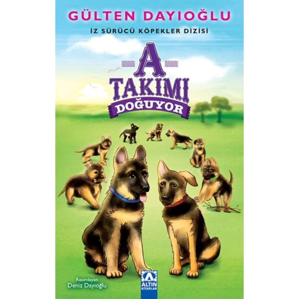 A TAKIMI DOĞUYOR-GÜLTEN DAYIOĞLU-ALTIN KİTAPLAR YAYINEVİ