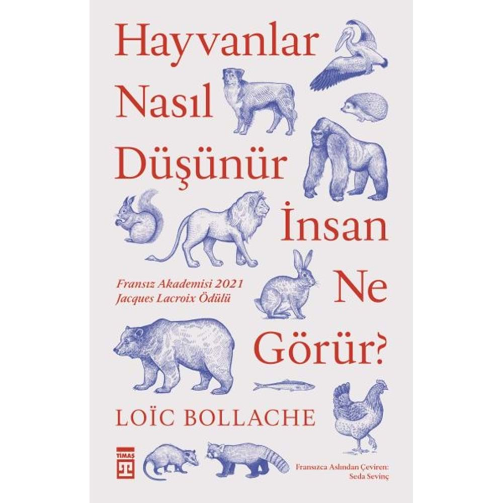 HAYVANLAR NASIL DÜŞÜNÜR İNSAN NE GÖRÜR?-LOIC BOLLACHE-TİMAŞ YAYINLARI