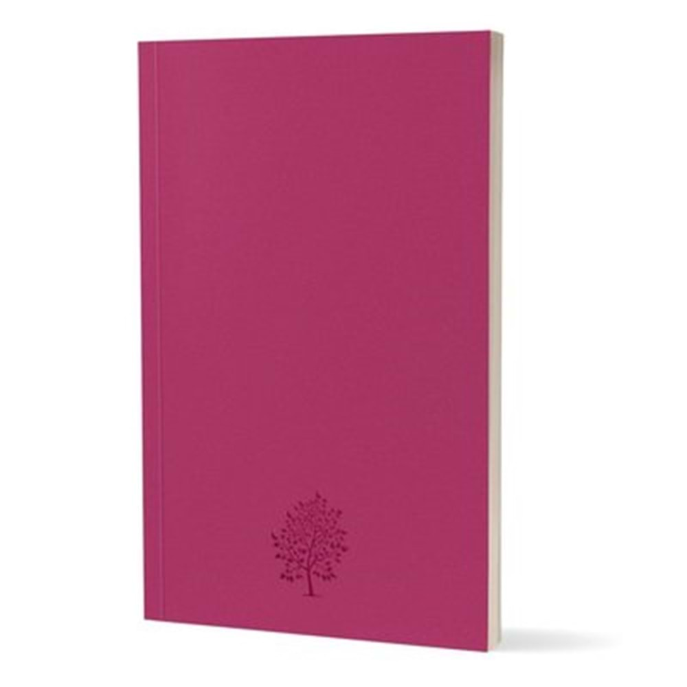 KALİPSO KREATİF PEMBE HAYAT 15*22 ÇİZGİLİ BUTİK DEFTER