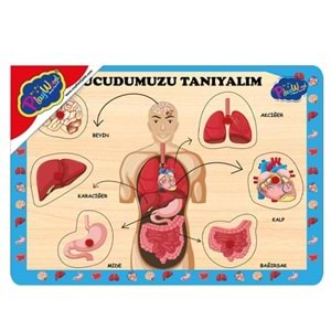 ONYIL OYUNCAK AHŞAP TUTMALI PUZZLE VUCUDUMUZU TANIYALIM-ONY-287/288