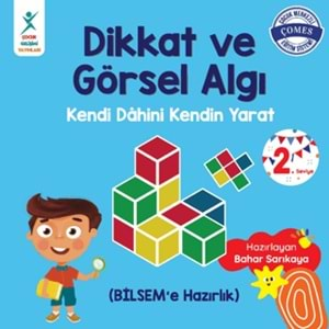 DİKKAT VE GÖRSEL ALGI-ÇOCUK GELİŞİMİ YAYINLARI