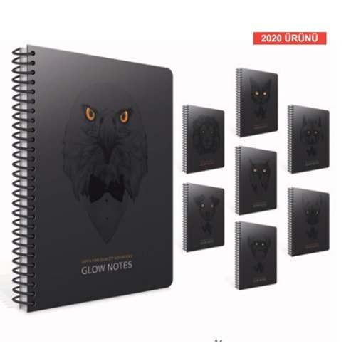 GIPTA GLOW NOTES SPİRALLİ KARTON KAPAK A4 80 YAPRAK KARELİ DEFTER-4205