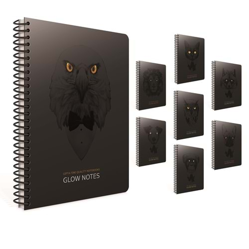 GIPTA GLOW NOTES SPİRALLİ KARTON KAPAK DEFTER 17*24 80 YAPRAK KARELİ-4209