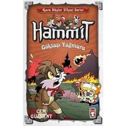 HAMMİT GÖKTAŞI YAĞMURU-CEM GÜLBENT-TİMAŞ