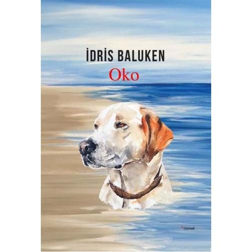 OKO-İDRİS BALUKEN-DİPNOT