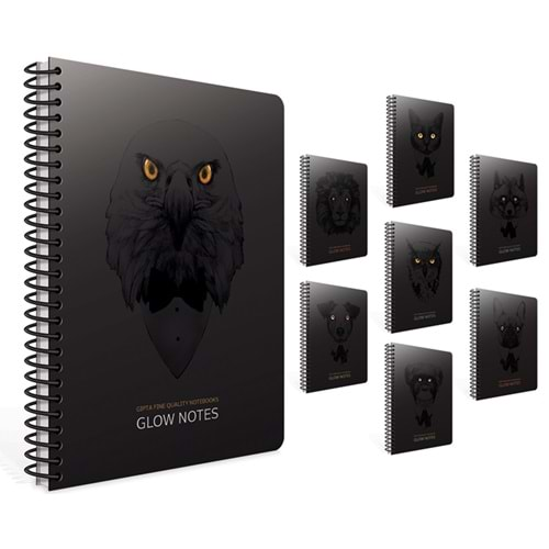 GIPTA GLOW NOTES SPİRALLİ KARTON KAPAK A4 80 YAPRAK ÇİZGİLİ DEFTER-4204