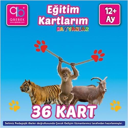 EĞİTİM KARTLARIM HAYVANLAR 12 AY 36 KART-Q BEBEK