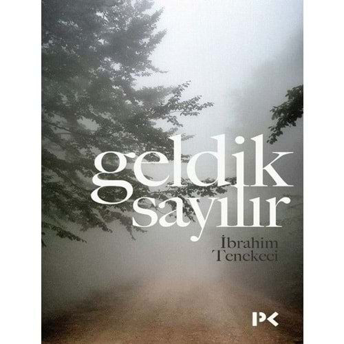 GELDİK SAYILIR-İBRAHİM TENEKECİ-PROFİL