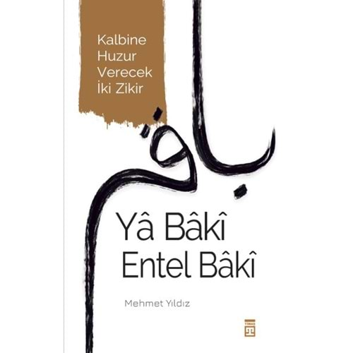 YA BAKİ ENTEL BAKİ-MEHMET YILDIZ-TİMAŞ YAYINLARI