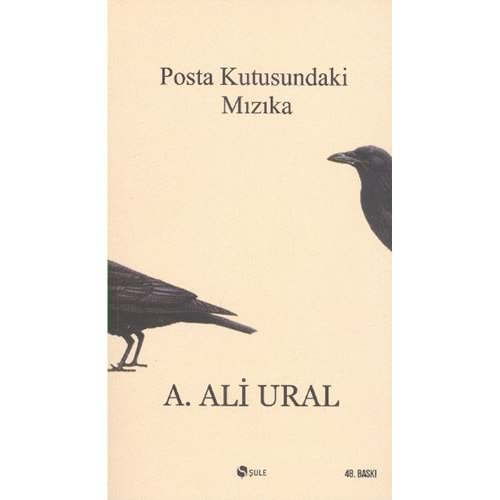 POSTA KUTUSUNDAKİ MIZIKA A.ALİ URAL ŞULE YAY.