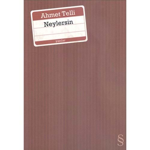 NEYLERSİN AHMET TELLİ EVEREST YAY.