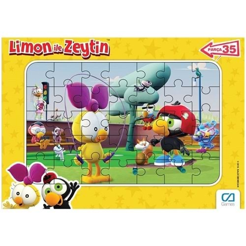 CA GAMES DISPLAY FRAME PUZZLE 35 PARÇA