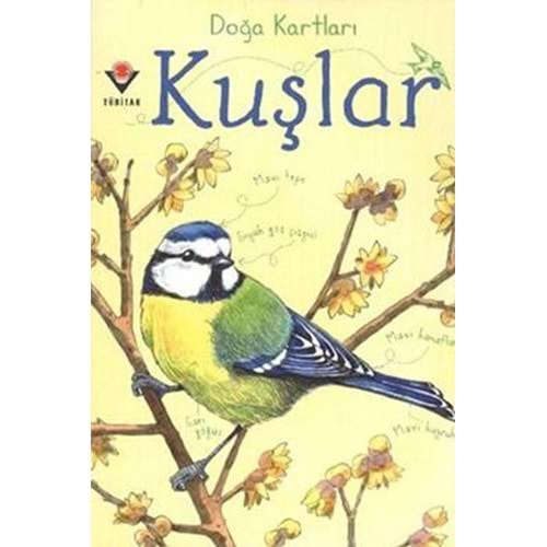 TUBİTAK DOĞA KARTLARI KUŞLAR- TÜBİTAK