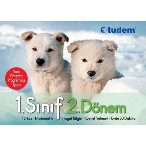 TUDEM 1.SINIF OKUMA YAZMA SETİ - 2.DÖNEM