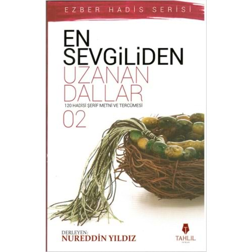 EN SEVGİLİDEN UZANAN DALLAR 2- NUREDDİN YILDIZ- TAHLİL