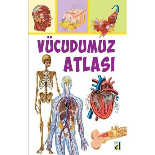 VÜCUDUMUZ ATLASI-VINCENZO GUIDI-DAMLA YAYINEVİ