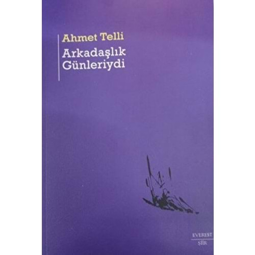 ARKADAŞLIK GÜNLERİYDİ-AHMET TELLİ-EVEREST YAYINLARI