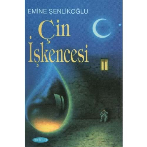 ÇİN İŞKENCESİ-EMİNE ŞENLİKOĞLU-MEKTUP