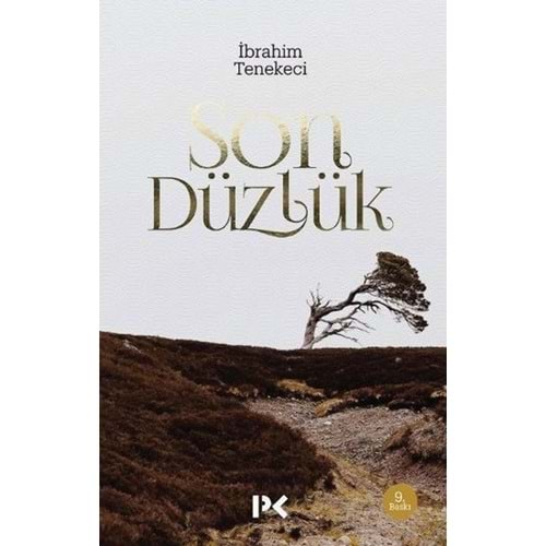 SON DÜZLÜK-İBRAHİM TENEKECİ-PROFİL KİTAP