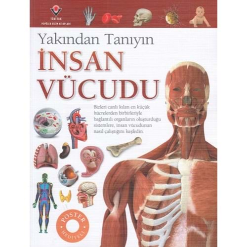 YAKINDAN TANIYIN İNSAN VÜCUDU- RİCHARD WALKER-TÜBİTAK YAYINLARI