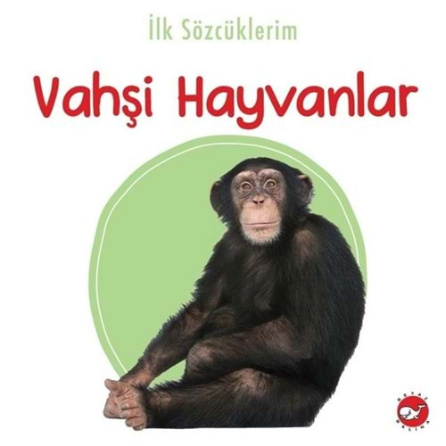 İLK SÖZCÜKLERİM VAHŞİ HAYVANLAR-BEYAZ BALİNA YAYINLARI