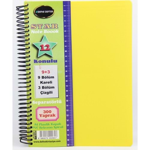 DEFNE STAR PP KAPAK A4 9+3 300 YAPRAK SEPARATÖRLÜ AYRAÇLI DEFTER-DFN-3241