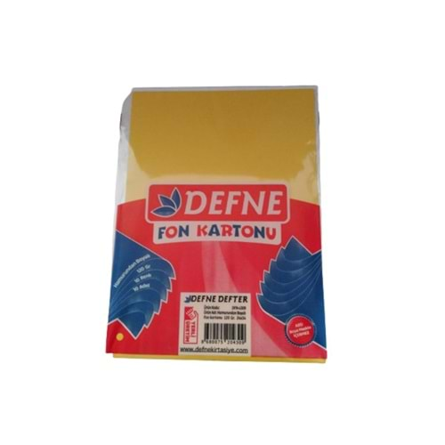 DEFNE EXCLUSIVE 24*34 FON KARTONU 10 RENK 120 GR-DFN-4309