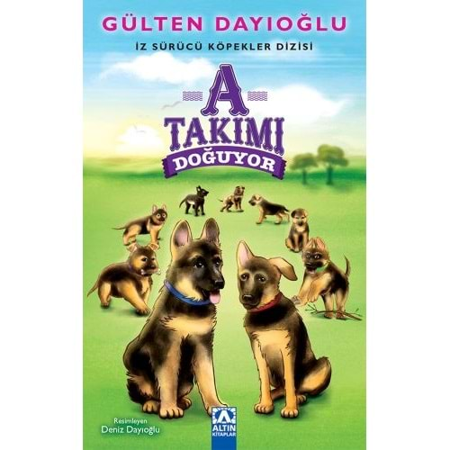 A TAKIMI DOĞUYOR-GÜLTEN DAYIOĞLU-ALTIN KİTAPLAR YAYINEVİ