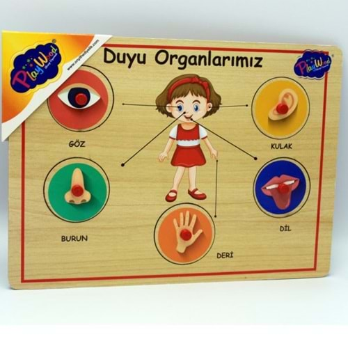 ONYIL OYUNCAK AHŞAP TUTMALI ORGANLARIMIZ-ONY-166/167