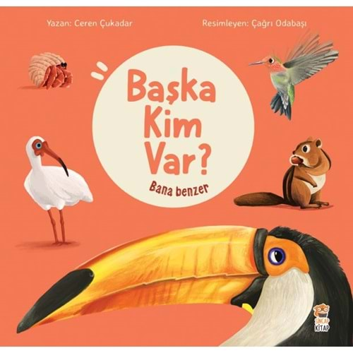 BANA BENZER BAŞKA KİM VAR?-CEREN ÇUKADAR-SİNCAP KİTAP